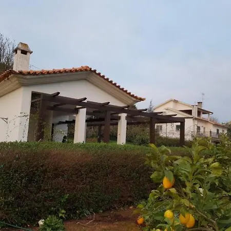 فيلة 2-bedrooms Sleeps 4 10 Min Drive To Coimbra